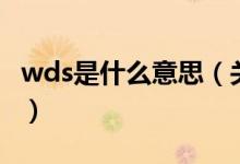 wds是什么意思（關于wds是什么意思的介紹）