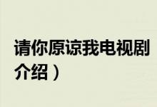 請(qǐng)你原諒我電視?。P(guān)于請(qǐng)你原諒我電視劇的介紹）