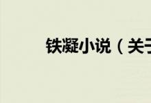 鐵凝小說(shuō)（關(guān)于鐵凝小說(shuō)的介紹）