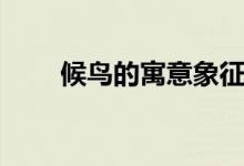 候鳥(niǎo)的寓意象征什么(候鳥(niǎo)的意思)