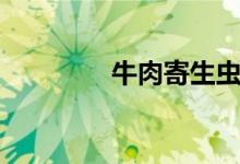 牛肉寄生蟲(chóng)（牛肉寄生蟲(chóng)）