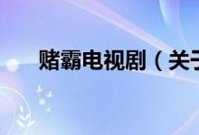 賭霸電視?。P(guān)于賭霸電視劇的介紹）