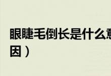 眼睫毛倒長(zhǎng)是什么意思（眼睫毛倒長(zhǎng)是什么原因）