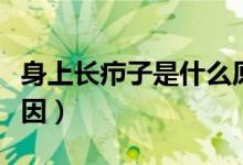 身上長(zhǎng)癤子是什么原因（身上長(zhǎng)癤子是什么原因）