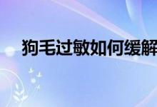 狗毛過敏如何緩解（狗毛過敏如何防護）