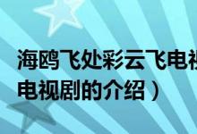 海鷗飛處彩云飛電視?。P于海鷗飛處彩云飛電視劇的介紹）