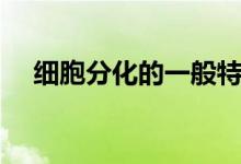 細胞分化的一般特征(細胞分化的意義)