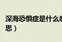 深海恐懼癥是什么感覺(jué)（深?？謶职Y是什么意思）