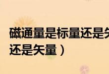磁通量是標量還是矢量變化量（磁通量是標量還是矢量）