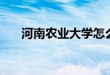 河南農(nóng)業(yè)大學怎么樣（全國排名第幾）