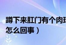 蹲下來(lái)肛門(mén)有個(gè)肉球怎么回事（肛門(mén)有個(gè)肉球怎么回事）