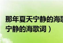 那年夏天寧靜的海歌詞想表達(dá)什么（那年夏天寧靜的海歌詞）