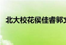 北大?；ê罴杨９捻w（北大?；铋?class=