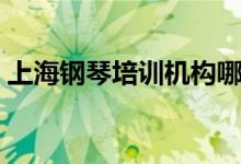 上海鋼琴培訓機構哪家好(怎么選擇培訓班)