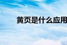 黃頁是什么應用軟件（黃頁是什么）