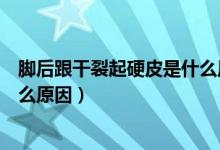 腳后跟干裂起硬皮是什么原因呢（腳后跟干裂、起硬皮是什么原因）