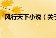 風行天下小說（關(guān)于風行天下小說的介紹）