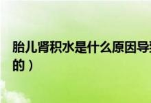 胎兒腎積水是什么原因導致的（胎兒腎積水是什么原因造成的）