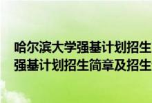 哈爾濱大學(xué)強(qiáng)基計(jì)劃招生簡(jiǎn)章2021（哈爾濱工業(yè)大學(xué)2022強(qiáng)基計(jì)劃招生簡(jiǎn)章及招生計(jì)劃）