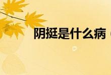 陰挺是什么?。幫κ鞘裁匆馑迹?class=