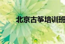 北京古箏培訓班哪里好（怎么選擇）