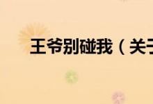 王爺別碰我（關于王爺別碰我的介紹）