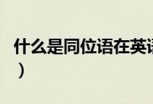 什么是同位語(yǔ)在英語(yǔ)當(dāng)中（什么是同位語(yǔ)從句）